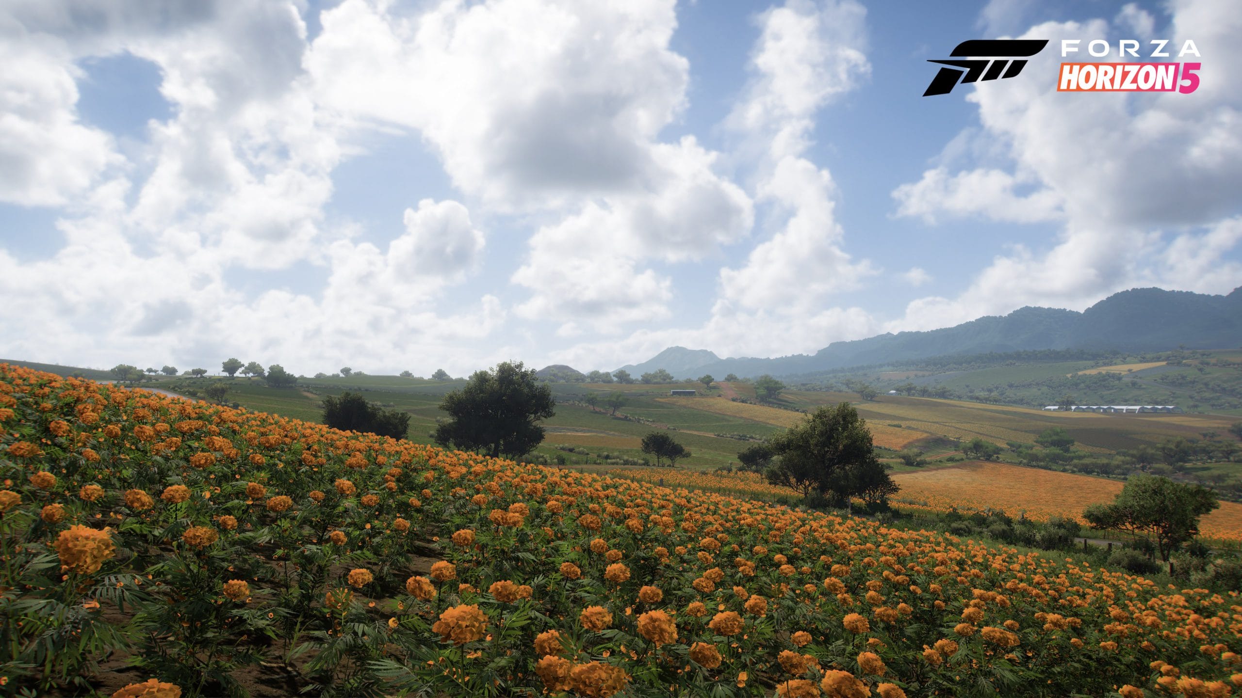 لعبة Forza Horizon 5 تتفوق على COD Warzone